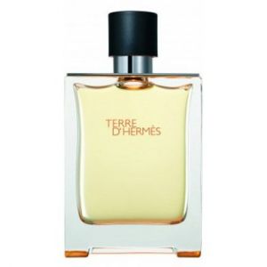 Hermes Terre D\'Hermes (M) edt 100ml