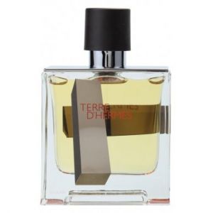 Hermes Terre D\'Hermes H.1 Bottle Edition (M) edt 100ml